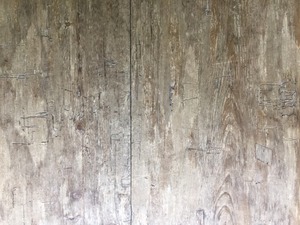 s-IMG_5204.jpg